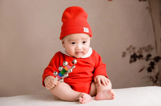 咸宁内蒙古助孕生子医院排名前十，过来人经验揭秘